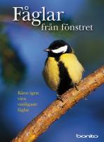 F&aring;glar fr&aring;n f&ouml;nstret