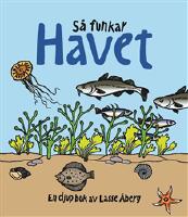 Så funkar havet