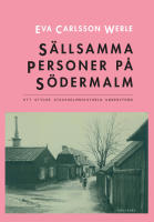 S&auml;llsamma personer p&aring; S&ouml;dermalm : ett stycke Stockholmshistoria underifr&aring;n