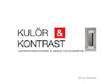 Kul&ouml;r & konstrast : ljushetskontrastens betydelse f&ouml;r personer med synneds&auml;ttning.