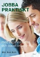 Jobba praktiskt med organisatorisk och social arbetsmilj&ouml;