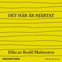 Det h&auml;r &auml;r hj&auml;rtat