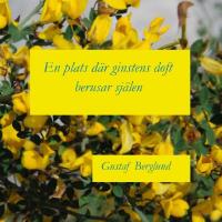 En plats d&auml;r ginstens doft berusar sj&auml;len : en sonettkrans