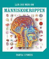 Fakta i fokus. L&auml;r dig mer om m&auml;nniskokroppen