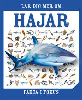 Fakta i fokus. L&auml;r dig mer om hajar