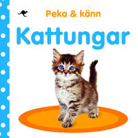 Peka och k&auml;nn : kattungar