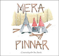 Mera pinnar