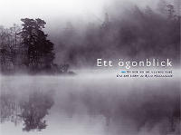 Ett &ouml;gonblick - om att uppleva nuet : about experiencing the present moment
