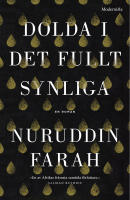 Dolda i det fullt synliga