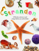 Stranden