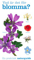 Vad &auml;r det f&ouml;r blomma?