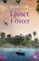 Ljuset i &ouml;ster