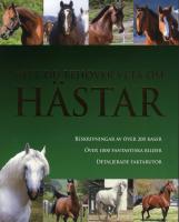 Allt du beh&ouml;ver veta om h&auml;star