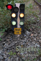 Signalfel