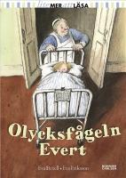 Olycksf&aring;geln Evert