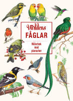 V&auml;rldens f&aring;glar : M&aring;larbok med planscher