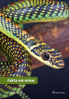 Fakta om ormar