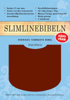 Bibeln