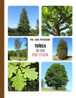Tr&auml;den vid den r&ouml;da stugan