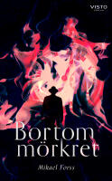Bortom m&ouml;rkret