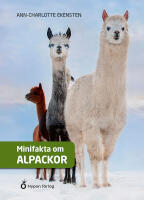 Minifakta om alpackor