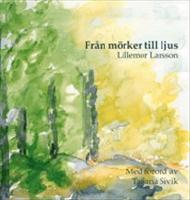 Fr&aring;n m&ouml;rker till ljus