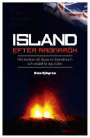 Island efter Ragnar&ouml;k : om konsten att skapa en finanskrasch och snabbt ta sig ur den