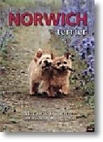 The Norwich Terrier