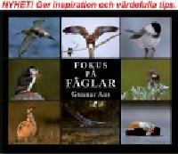 Fokus p&aring; F&Aring;GLAR