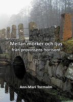 Mellan ljus och m&ouml;rker - fr&aring;n provinsens horisont : tio noveller och en dikt