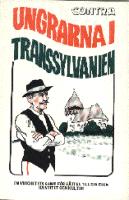 Ungrarna i Transsylvanien
