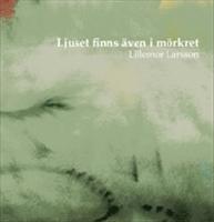 Ljuset finns &auml;ven i m&ouml;rkret