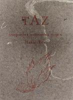 TAZ: tempor&auml;ra autonoma zonen