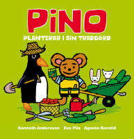 Pino planterar i sin tr&auml;dg&aring;rd