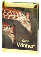 Goda V&auml;nner (Kompisar)