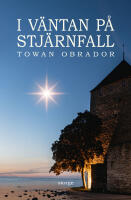 I v&auml;ntan p&aring; stj&auml;rnfall