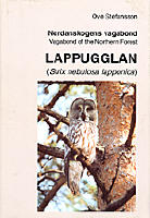 Lappugglan - nordanskogens vagabond