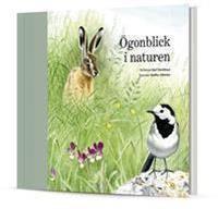 &Ouml;gonblick i naturen