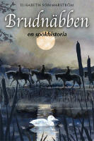 Brudn&auml;bben