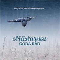 M&auml;starnas goda r&aring;d