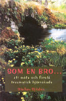 Som en bro- : att m&ouml;ta och f&ouml;rst&aring; f&ouml;rv&auml;rvad hj&auml;rnskada