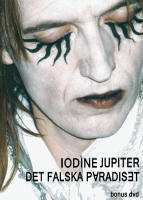 Det falska paradiset : en textlabyrint med l&auml;nkar och l&ouml;nnd&ouml;rrar