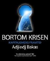 Bortom krisen - kapitalismens framtid