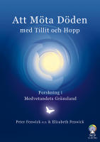 Att m&ouml;ta d&ouml;den med tillit och hopp : forskning i medvetandets gr&auml;nsland