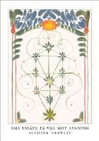 Sm&aring; ess&auml;er p&aring; v&auml;g mot sanning