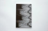 The Picture of the Yellow Sun