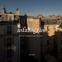 asfalt / gr&auml;s