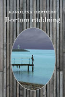 Bortom r&auml;ddning