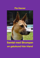 Samtal med Strumpan : en gatuhund fr&aring;n Irland