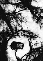 Reality harvester: nature after data after nature